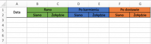 excel symulacje